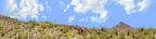 Organ Pipe Cactus National Monument Vista part 3