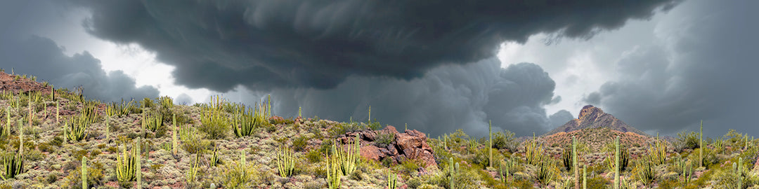Organ Pipe Cactus National Monument Vista part 3