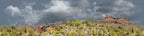 Organ Pipe Cactus National Monument Vista part 4 repeatable