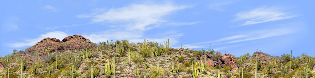 Organ Pipe Cactus National Monument left repeatable