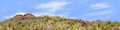 Organ Pipe Cactus National Monument left repeatable