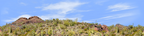 Organ Pipe Cactus National Monument left repeatable