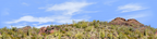 Organ Pipe Cactus National Monument right repeatable
