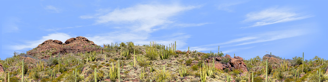 Organ Pipe Cactus National Monument Vista part 1 repeatable