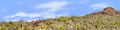 Organ Pipe Cactus National Monument Vista part 2
