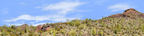Organ Pipe Cactus National Monument Vista part 2