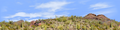 Organ Pipe Cactus National Monument Vista part 4 repeatable