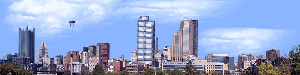 Pittsburgh from the South
