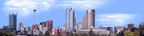 Pittsburgh from the South