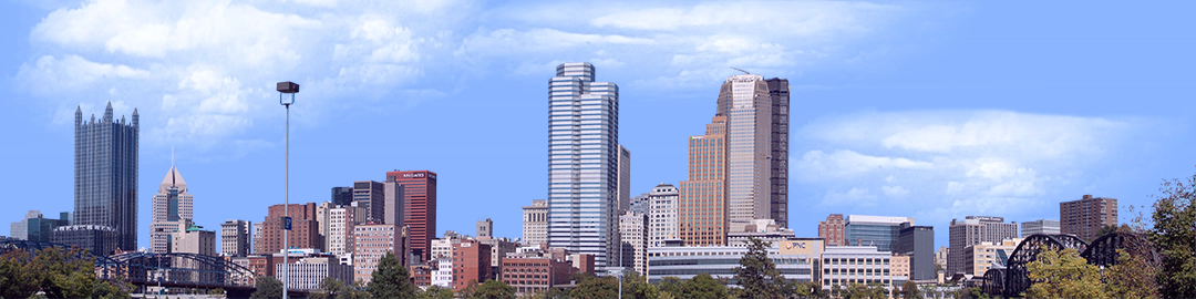 Pittsburgh from the South