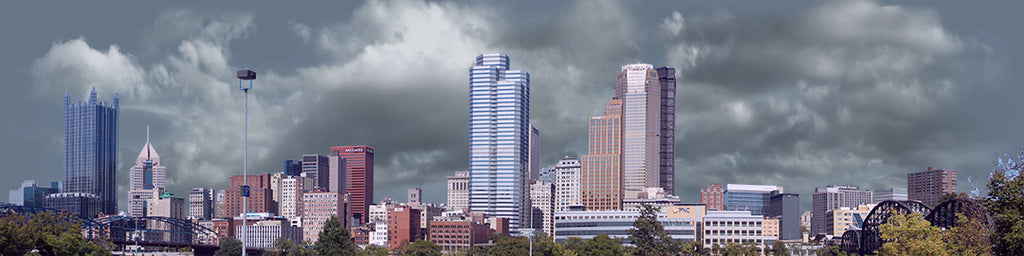 Pittsburgh from the South