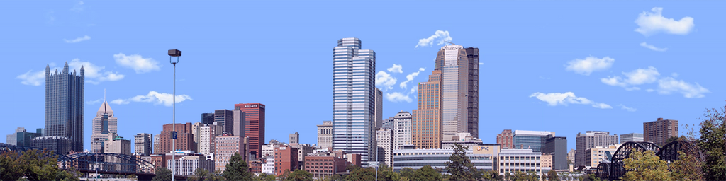 Pittsburgh from the South
