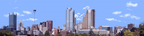 Pittsburgh from the South