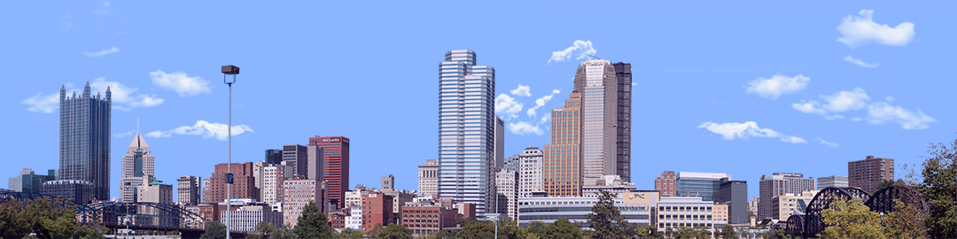 Pittsburgh from the South