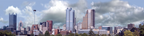 Pittsburgh from the South