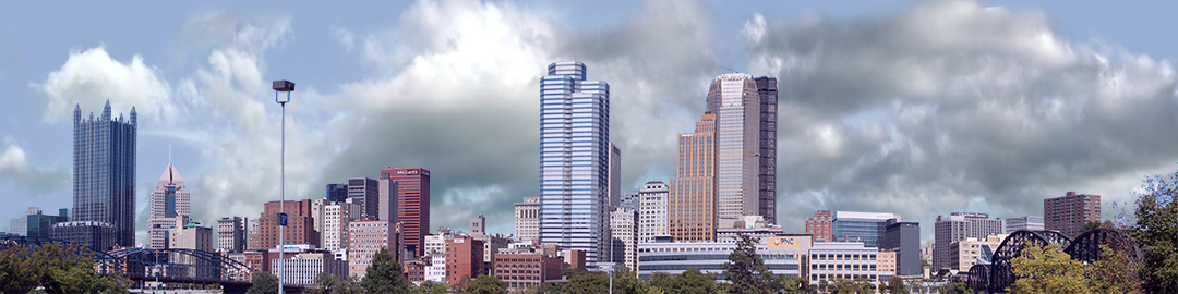 Pittsburgh from the South