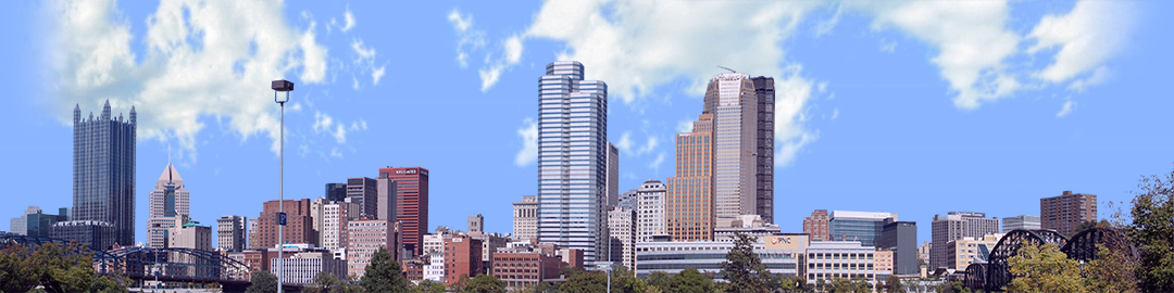 Pittsburgh from the South