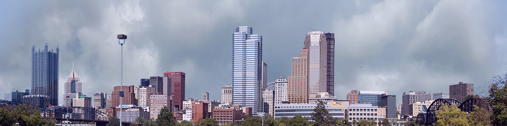 Pittsburgh from the South