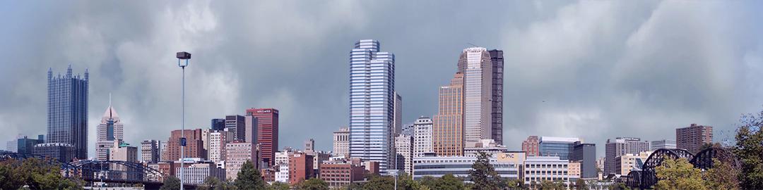 Pittsburgh from the South