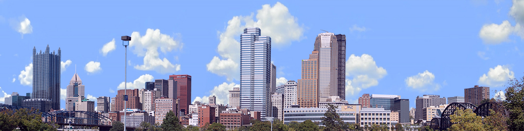 Pittsburgh from the South