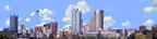 Pittsburgh from the South