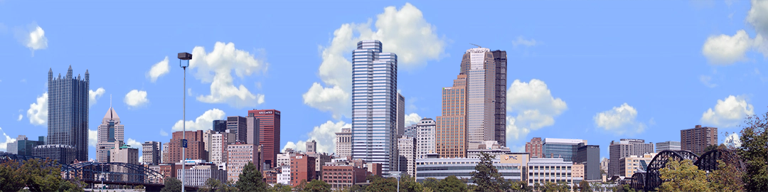 Pittsburgh from the South