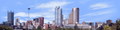 Pittsburgh from the South