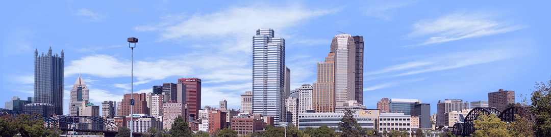 Pittsburgh from the South