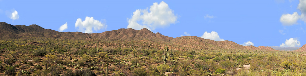 Saguaro National Monument Tucson Arizona left