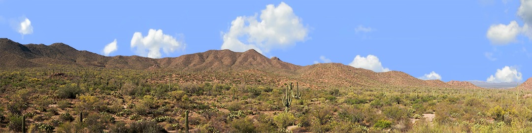 Saguaro National Monument Tucson Arizona left