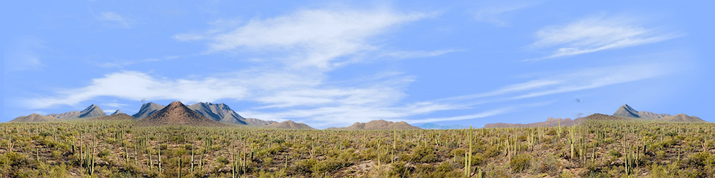 Saguaro National Monument from Signal Hill Trail left repeatable