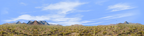 Saguaro National Monument from Signal Hill Trail left repeatable