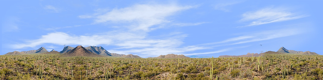 Saguaro National Monument from Signal Hill Trail left repeatable
