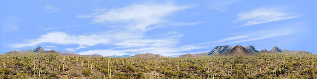 Saguaro National Monument from Signal Hill Trail right repeatable