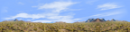 Saguaro National Monument from Signal Hill Trail right repeatable