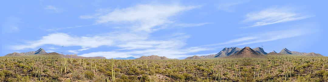 Saguaro National Monument from Signal Hill Trail right repeatable