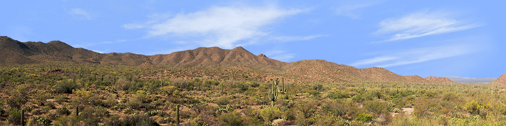 Saguaro National Monument Tucson Arizona left