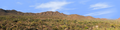 Saguaro National Monument Tucson Arizona left