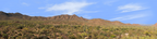 Saguaro National Monument Tucson Arizona left