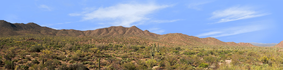 Saguaro National Monument Tucson Arizona left