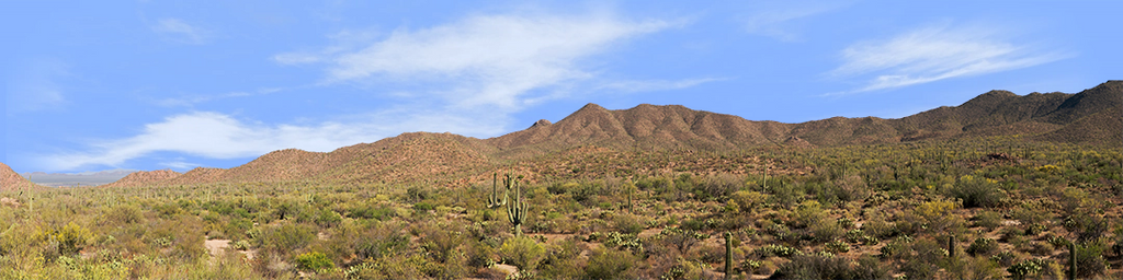Saguaro National Monument Tucson Arizona right