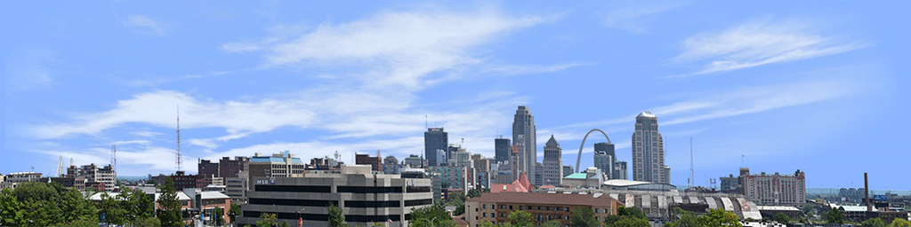 Saint Louis Skyline from the West