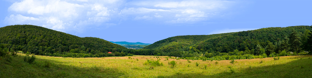 Appalachian Mountain Valley left