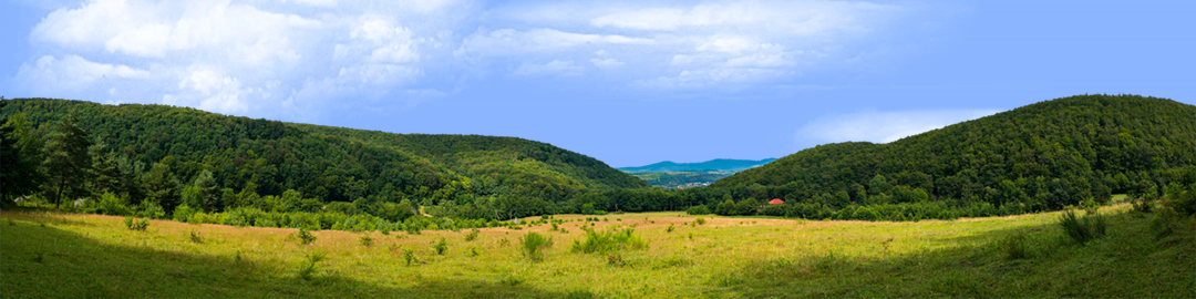 Appalachian Mountain Valley right
