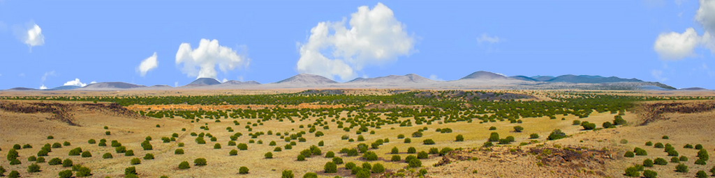 Coconino National Forest Arizona center repeatable