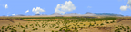 Coconino National Forest Arizona center repeatable