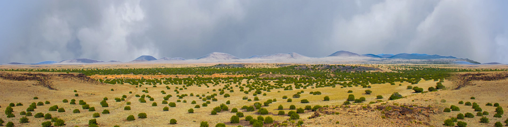 Coconino National Forest Arizona center repeatable