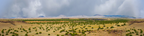 Coconino National Forest Arizona center repeatable