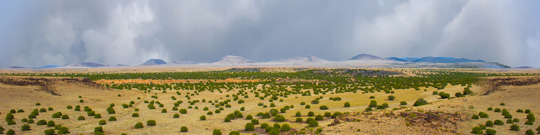 Coconino National Forest Arizona center repeatable