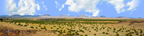 Coconino National Forest Arizona left